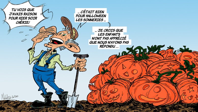 Que Faire Au Jardin En Novembre Cnracl