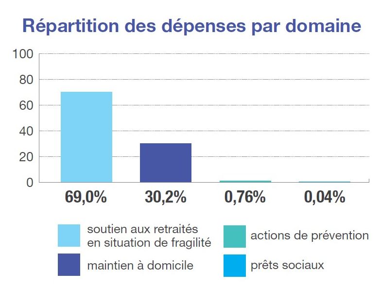 Repartition par domaine-RACNR17.jpg