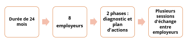 Appel à projets réunissant 8 employeurs, en deux phases (diagnostic et plan d'actions) et avec plusieurs sessions déchanges entre employeurs