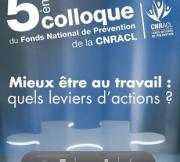 Synthese Rapport "pour une prévention durable des RPS" 2013